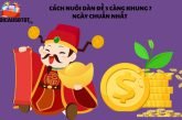 Cách nuôi dàn đề 3 càng khung 7 ngày chuẩn nhất