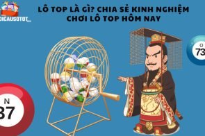 Lô top là gì? Chia sẻ kinh nghiệm chơi lô top hôm nay