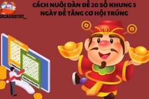 Cách nuôi dàn đề 20 số khung 3 ngày để tăng cơ hội trúng