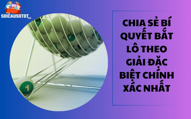 Có nên chọn lô theo đặc biệt hay không? 