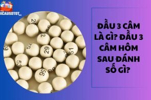 Đầu 3 câm là gì? Đầu 3 câm hôm sau đánh số gì? 