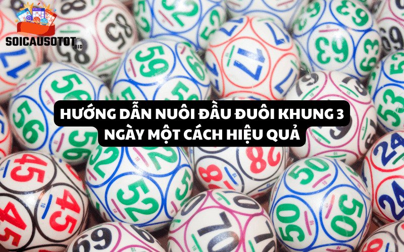 Hướng dẫn nuôi đầu đuôi khung 3 ngày một cách hiệu quả