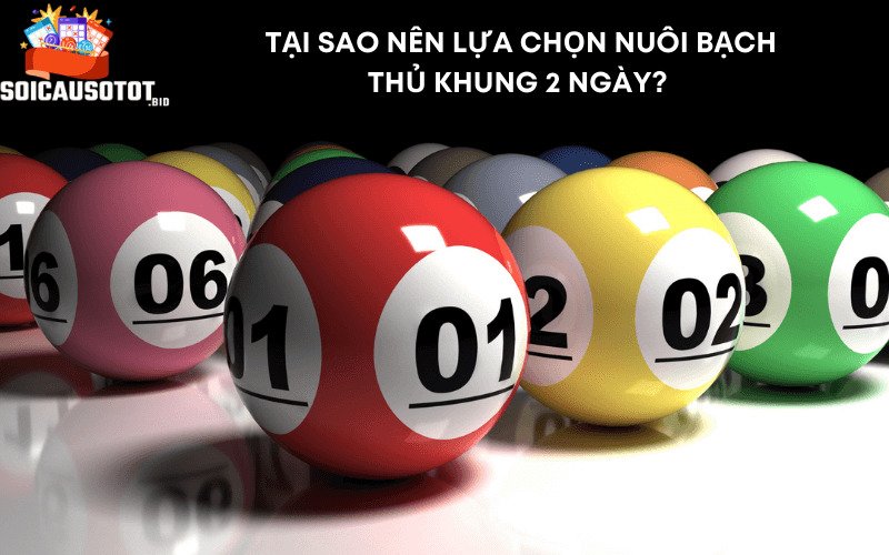 Tại sao nên lựa chọn nuôi bạch thủ khung 2 ngày? 