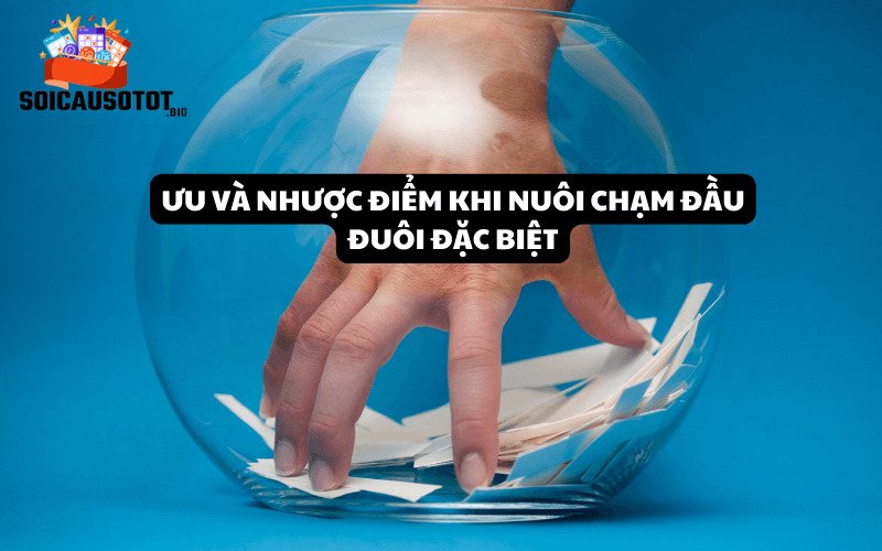 Ưu và nhược điểm khi nuôi chạm đầu đuôi đặc biệt