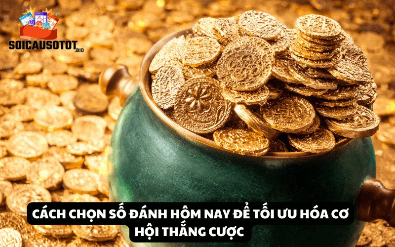 Cách chọn số đánh hôm nay để tối ưu hóa cơ hội thắng cược 