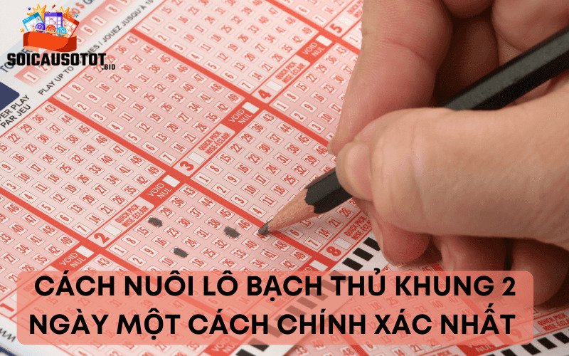 Cách nuôi lô bạch thủ khung 2 ngày một cách chính xác nhất 