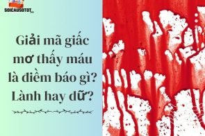 Giải mã giấc mơ thấy máu là điềm báo gì? Lành hay dữ?