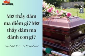 Mơ thấy đám ma điềm gì? Mơ thấy đám ma đánh con gì?