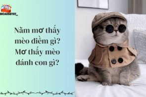 Nằm mơ thấy mèo điềm gì? Mơ thấy mèo đánh con gì?