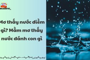 Mơ thấy nước điềm gì? Mằm mơ thấy nước đánh con gì