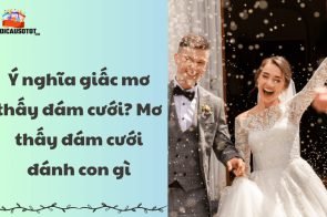 Ý nghĩa giấc mơ thấy đám cưới? Mơ thấy đám cưới đánh con gì