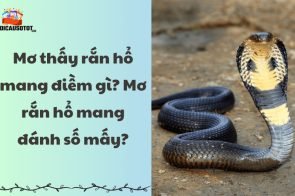 Mơ thấy rắn hổ mang điềm gì? Mơ rắn hổ mang đánh số mấy?