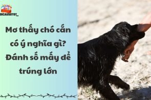 Mơ thấy chó cắn có ý nghĩa gì? Đánh số mấy để trúng lớn