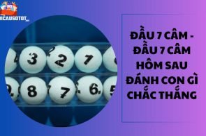 Đầu 7 câm – Đầu 7 câm hôm sau đánh con gì chắc thắng