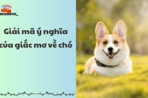 Giải mã giấc mơ thấy chó – Mơ thấy chó đánh số mấy?