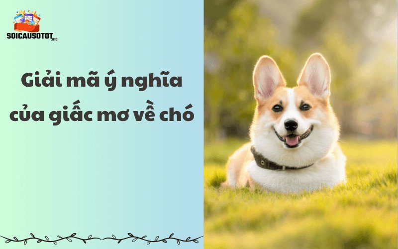 Giải mã ý nghĩa của giấc mơ về chó