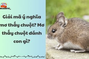 Giải mã ý nghĩa mơ thấy chuột? Mơ thấy chuột đánh con gì?