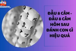 Đầu 8 câm – Đầu 8 câm hôm sau đánh con gì hiệu quả