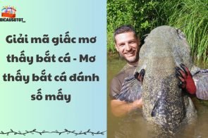 Giải mã giấc mơ thấy bắt cá – Mơ thấy bắt cá đánh số mấy