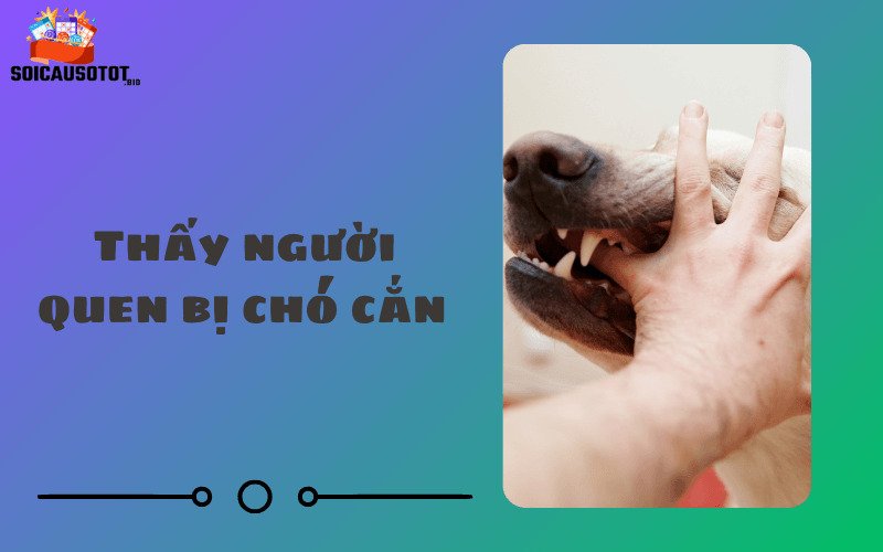 Thấy người quen bị chó cắn 