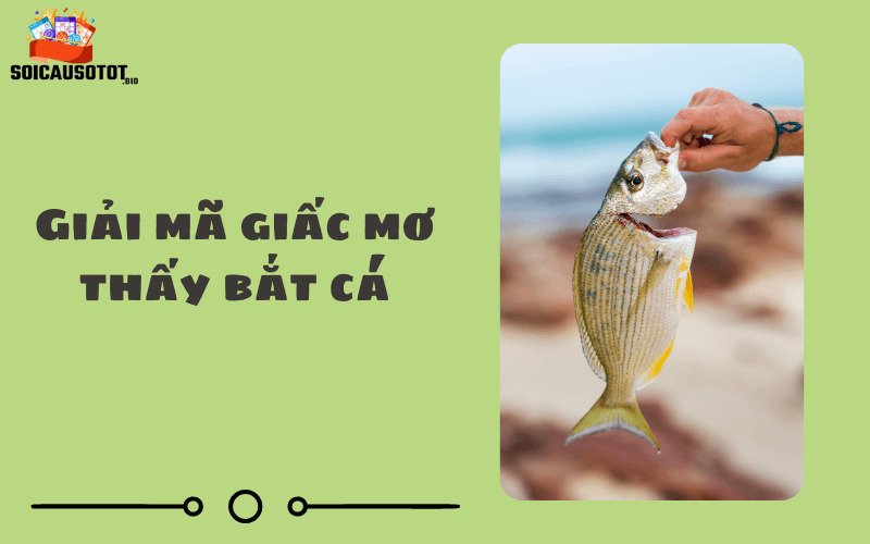 Giải mã giấc mơ thấy bắt cá