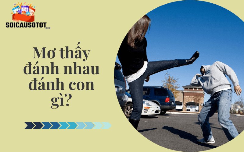 Mơ thấy đánh nhau đánh con gì?