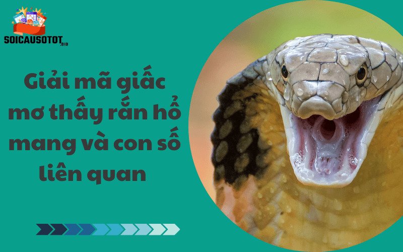 Giải mã giấc mơ thấy rắn hổ mang và con số liên quan 