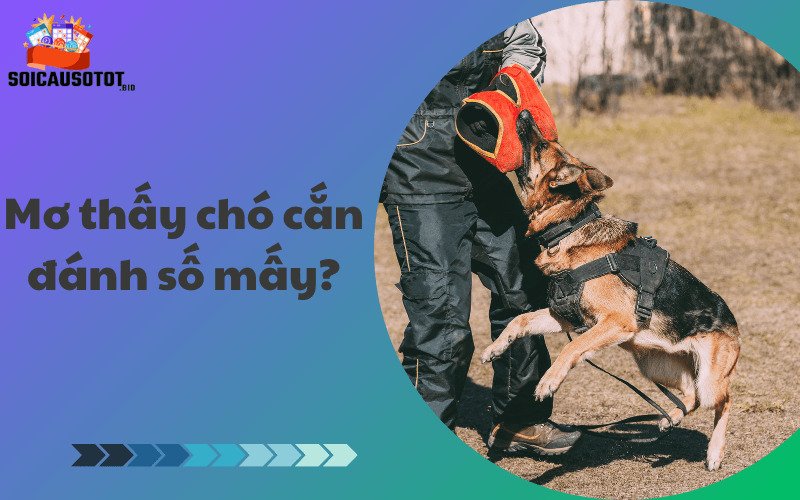 Mơ thấy chó cắn đánh số mấy?