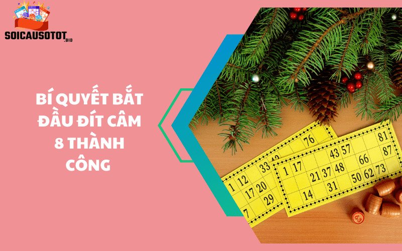 Bí quyết bắt đầu đít câm 8 thành công 