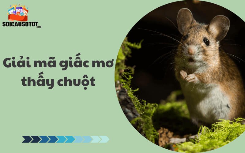 Giải mã giấc mơ thấy chuột