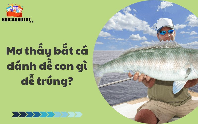 Mơ thấy bắt cá đánh đề con gì dễ trúng?