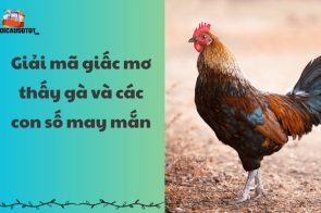 Giải mã giấc mơ thấy gà và các con số may mắn