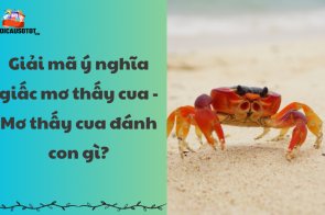 Giải mã ý nghĩa giấc mơ thấy cua – Mơ thấy cua đánh con gì?