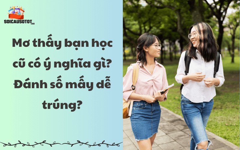 Ý nghĩa của những giấc mơ thấy bạn học cũ