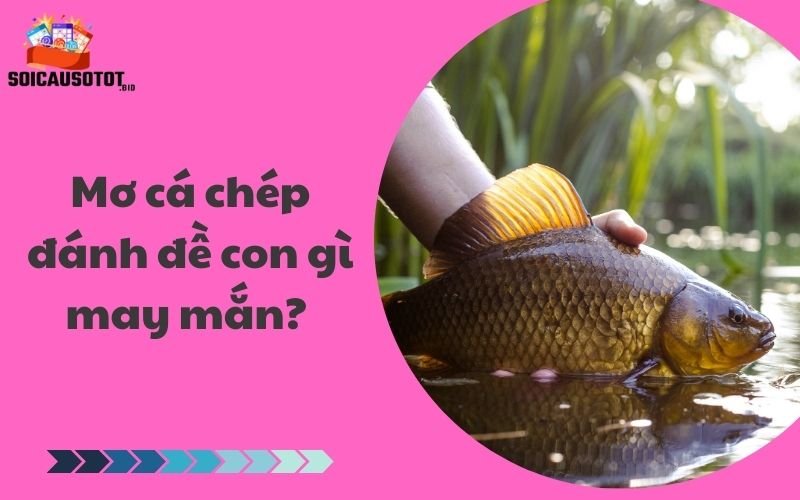 Mơ cá chép đánh đề con gì may mắn? 