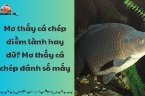 Mơ thấy cá chép điềm lành hay dữ? Mơ thấy cá chép đánh số mấy