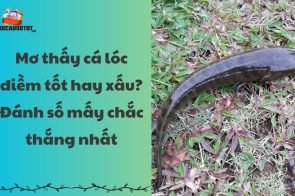 Mơ thấy cá lóc điềm tốt hay xấu? Đánh số mấy chắc thắng nhất