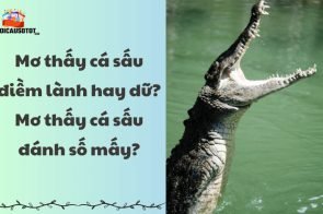 Mơ thấy cá sấu điềm lành hay dữ? Mơ thấy cá sấu đánh số mấy?