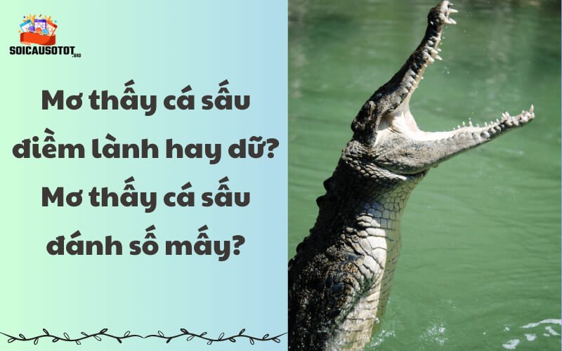 Điềm báo lành hay dữ khi mơ thấy cá sấu? 