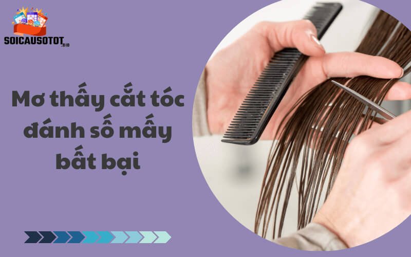 Mơ thấy cắt tóc đánh số mấy bất bại