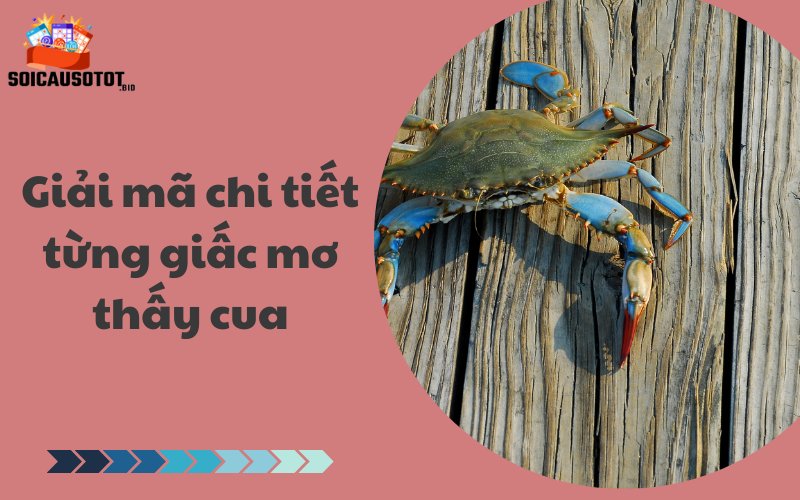 Giải mã chi tiết từng giấc mơ thấy cua