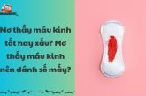 Mơ thấy máu kinh tốt hay xấu? Mơ thấy máu kinh nên đánh số mấy?