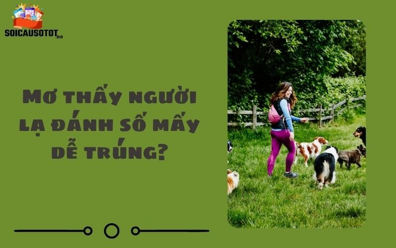 Mơ thấy người lạ đánh số mấy dễ trúng?