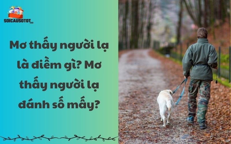 Mơ thấy người lạ là điềm gì? Tốt hay xấu?