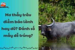 Mơ thấy trâu điềm báo lành hay dữ? Đánh số mấy dễ trúng?