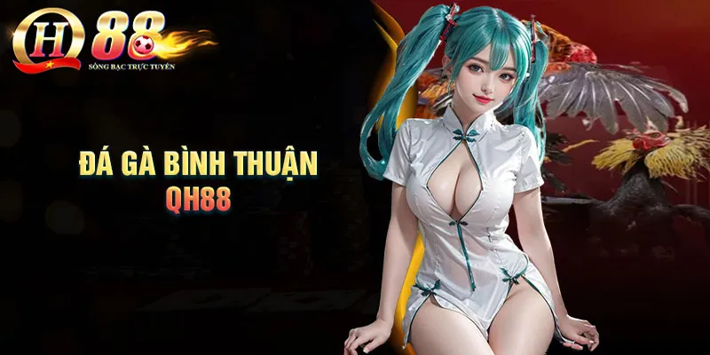 Hướng dẫn tham gia đá gà QH88