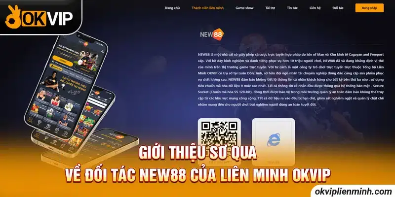 NEW88 – Điểm Sáng Trong Liên Minh okvip