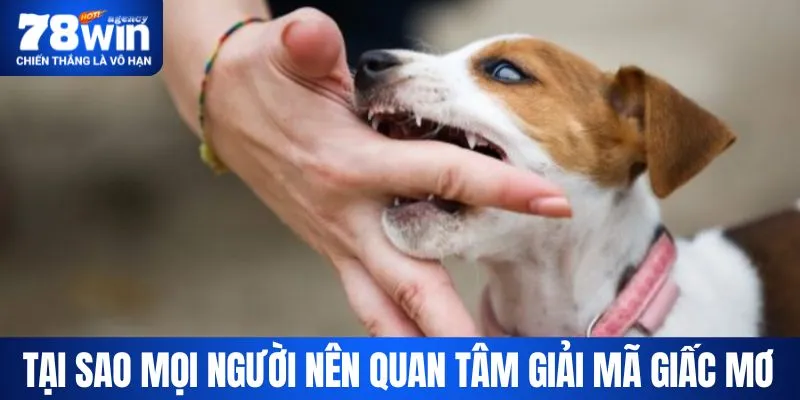 Mọi người thường rất quan tâm đến điềm báo trong giấc mơ