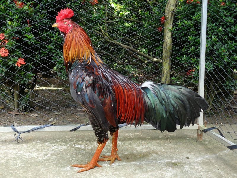 Cách khắc phục nhanh khi phát hiện thiếu chất